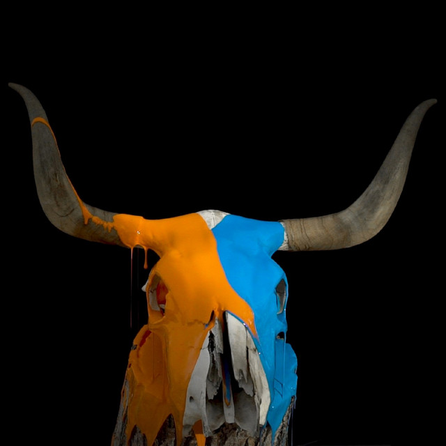 Bonehead cover