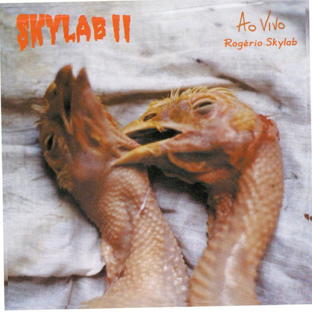 Skylab Ii (ao Vivo) cover