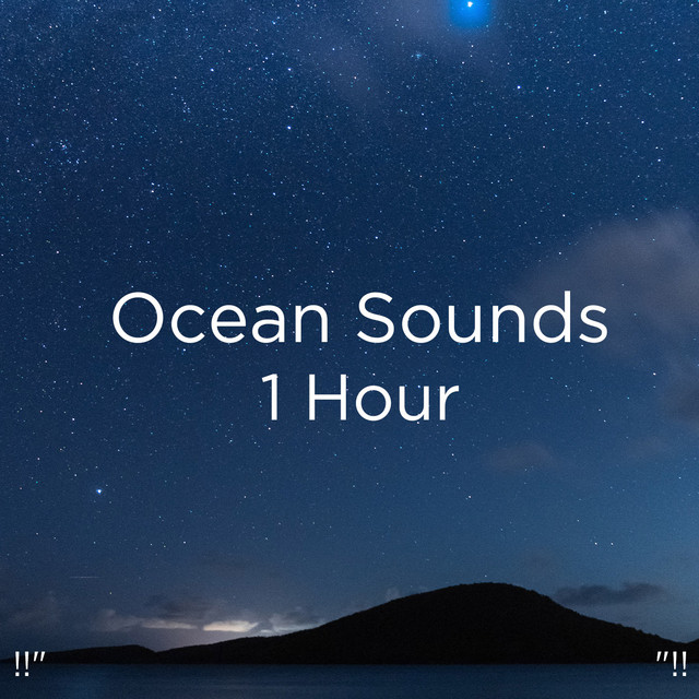 !!" Ocean Sounds 1 Hour "!! cover art