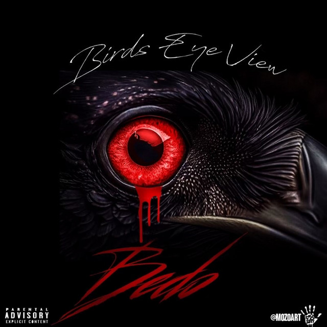 Birds Eye View cover art