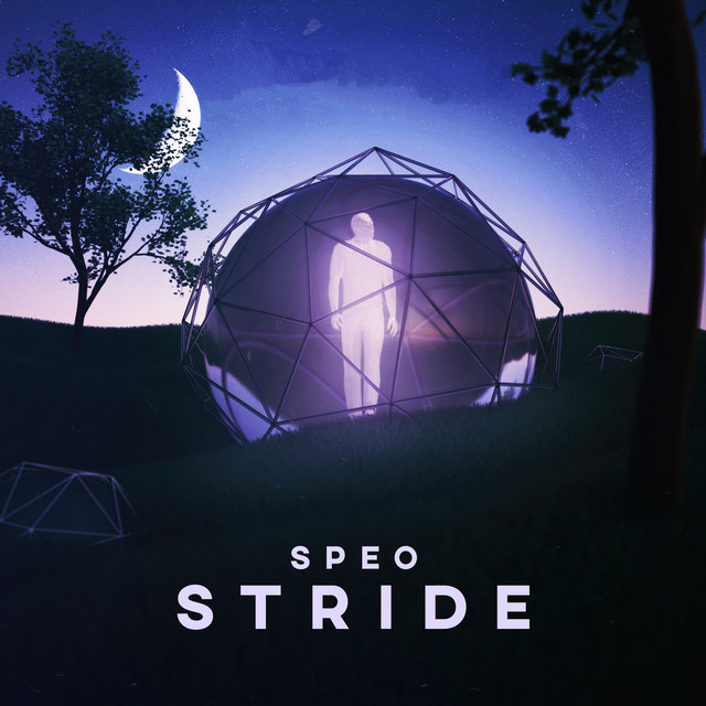 Stride cover