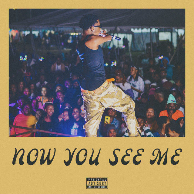 Now You See Me