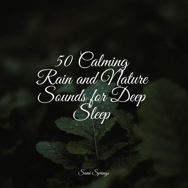 50 Calming Rain and Nature Sounds for Deep Sleep - Album by Bath Spa ...