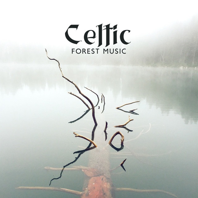Celtic Forest Music: Calm Ambient Vibes cover art