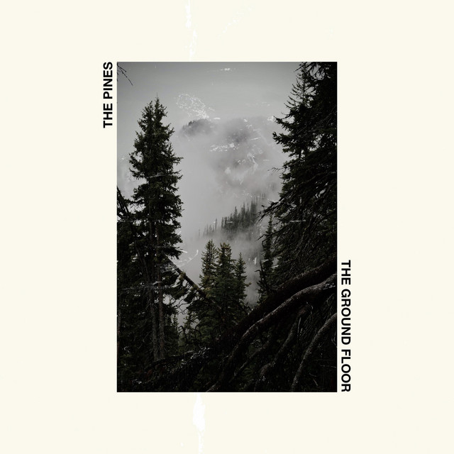 The Pines cover