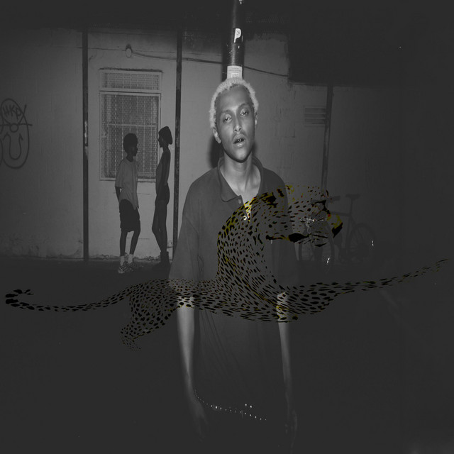 undefined album image