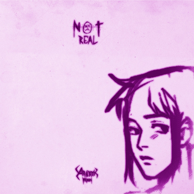 Not Real cover art