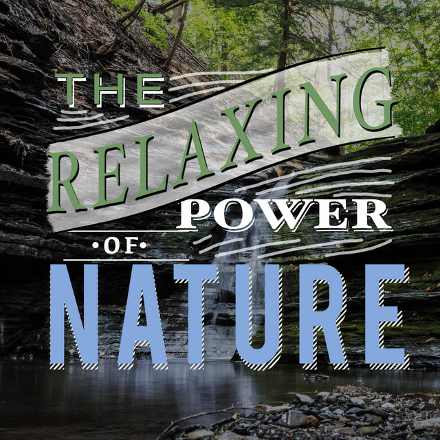 The Relaxing Power of Nature