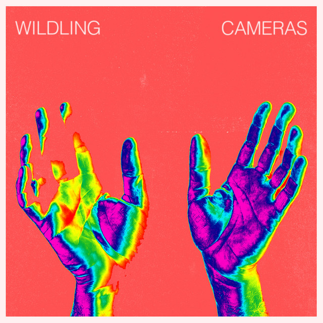 Cameras cover