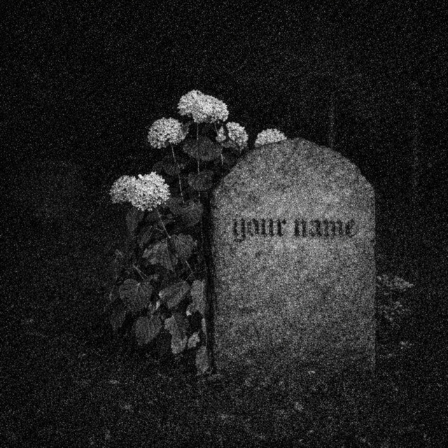 absence has a name cover art
