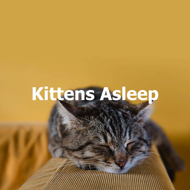 Kittens Asleep cover art