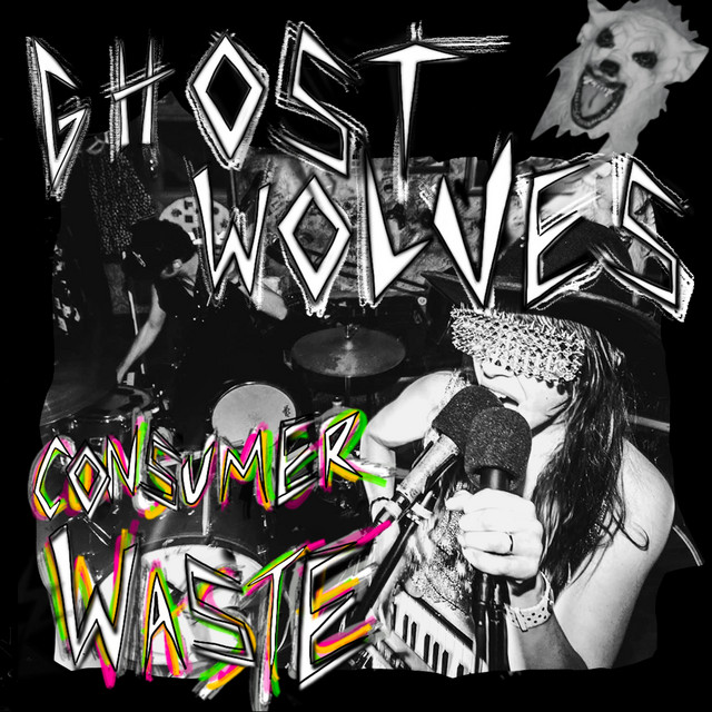 Consumer Waste cover art