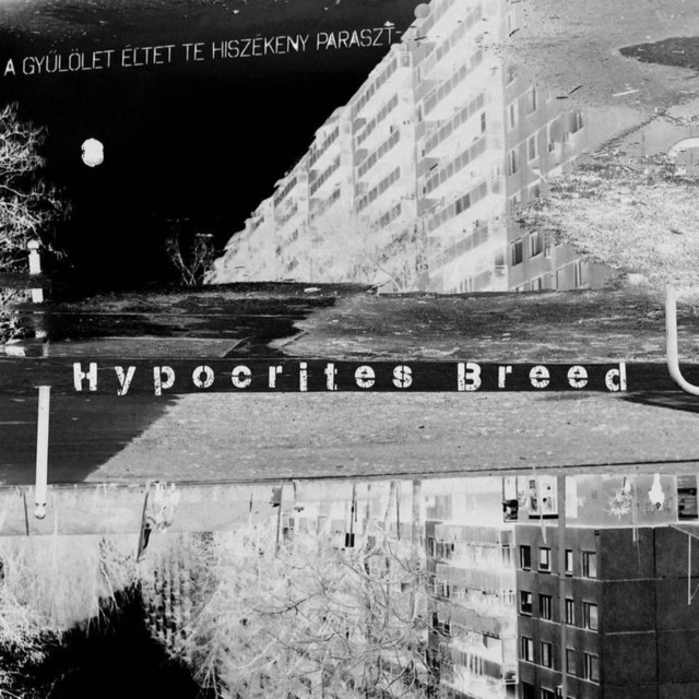 A gyűlölet éltet te hiszékeny paraszt. cover