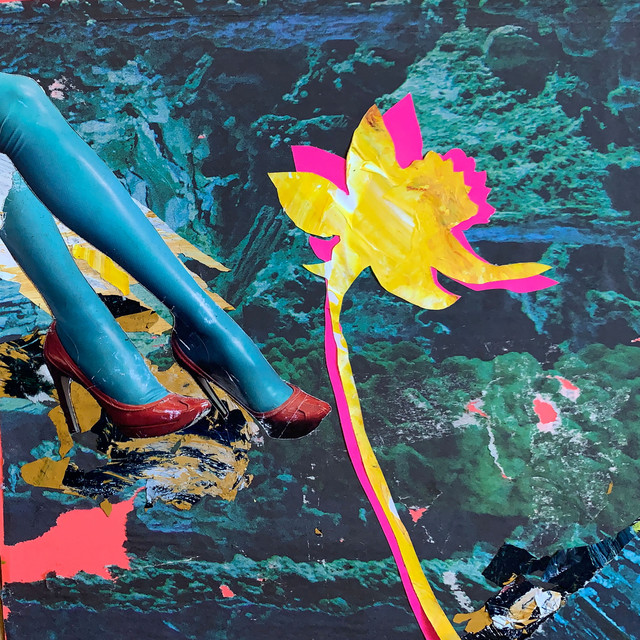Daffodils cover art