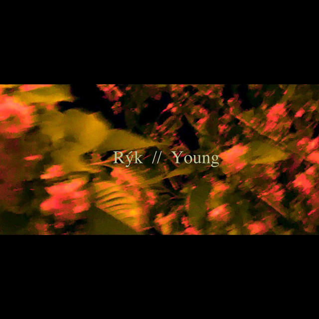 Young - Single by Rýk | Spotify