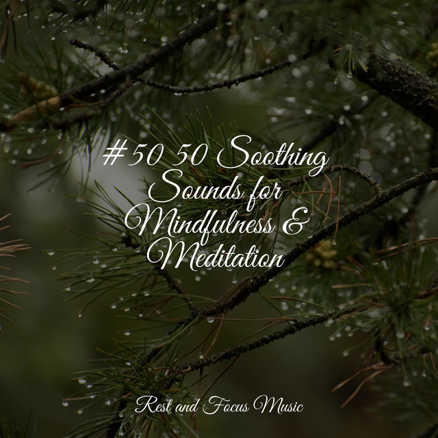#50 50 Soothing Sounds for Mindfulness & Meditation - Album by Sleep ...