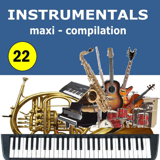 Instrumentals Maxi-Compilation 22 cover