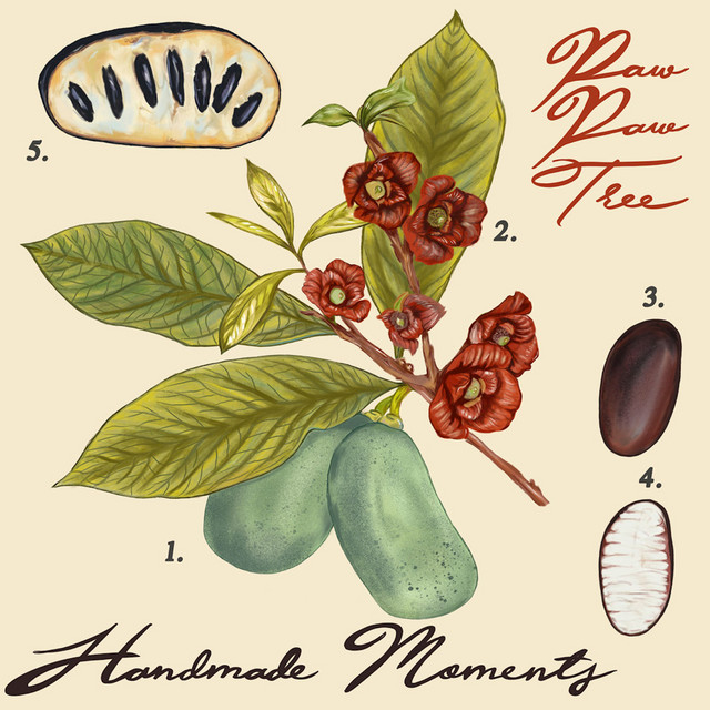 Paw Paw Tree cover art