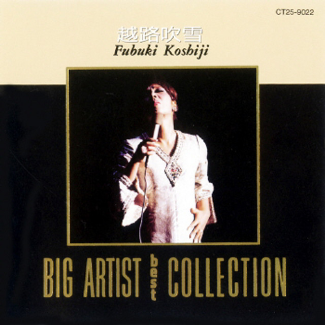 ＢＩＧ　ＡＲＴＩＳＴ　ＢＥＳＴ　ＣＯＬＬＥＣＴＩＯＮ cover