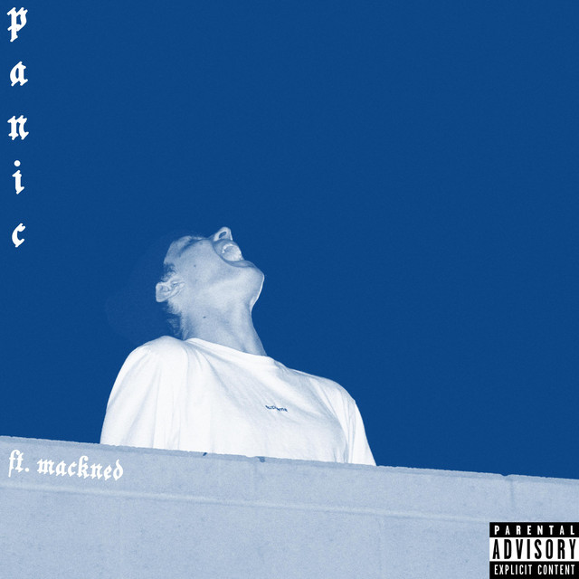 Panic cover art
