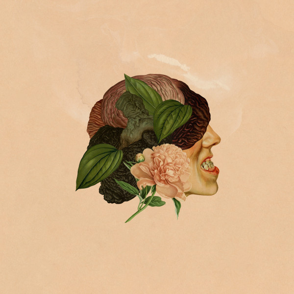 Kalopsia cover art