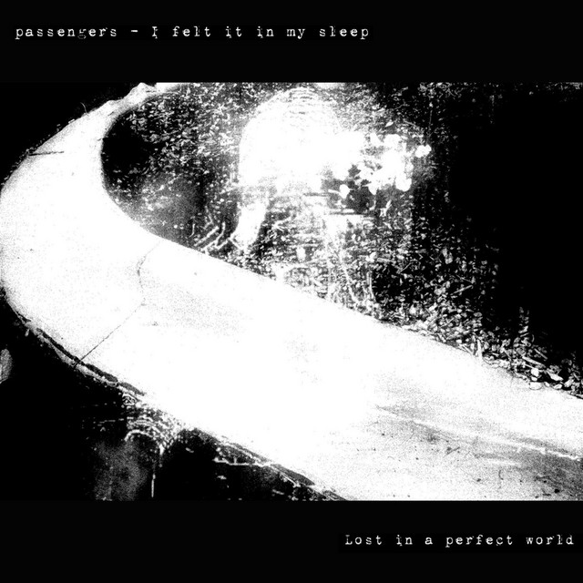 Lost in a perfect world cover art