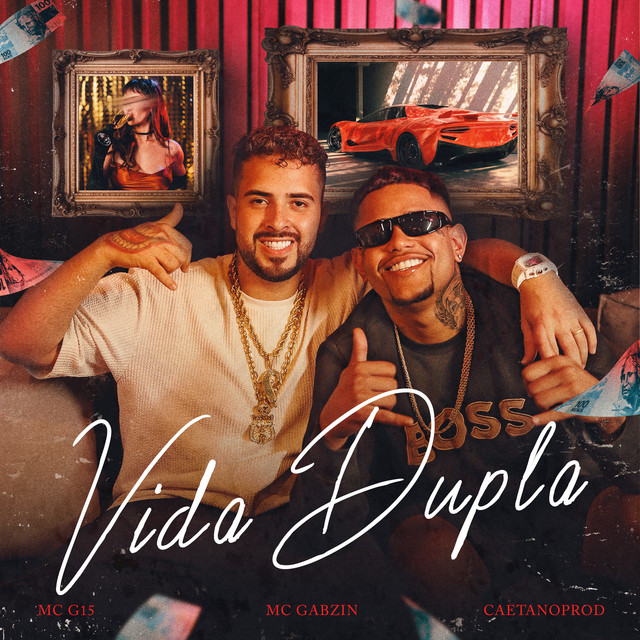 Vida Dupla album image