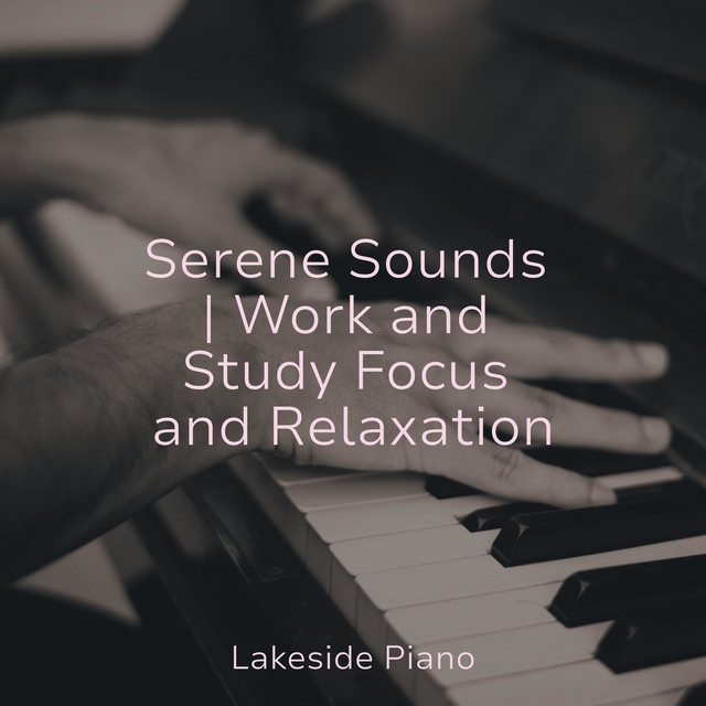 Serene Sounds | Work and Study Focus and Relaxation - Album by SD | Spotify