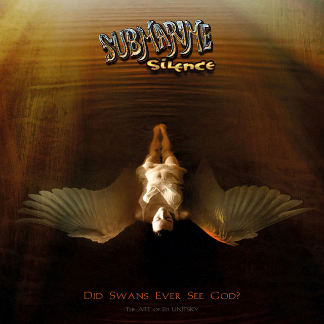 Did Swans Ever See God? cover