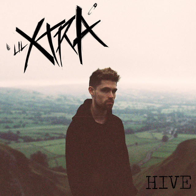 Hive cover art