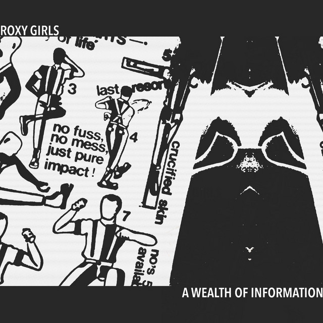 A Wealth of Information cover art