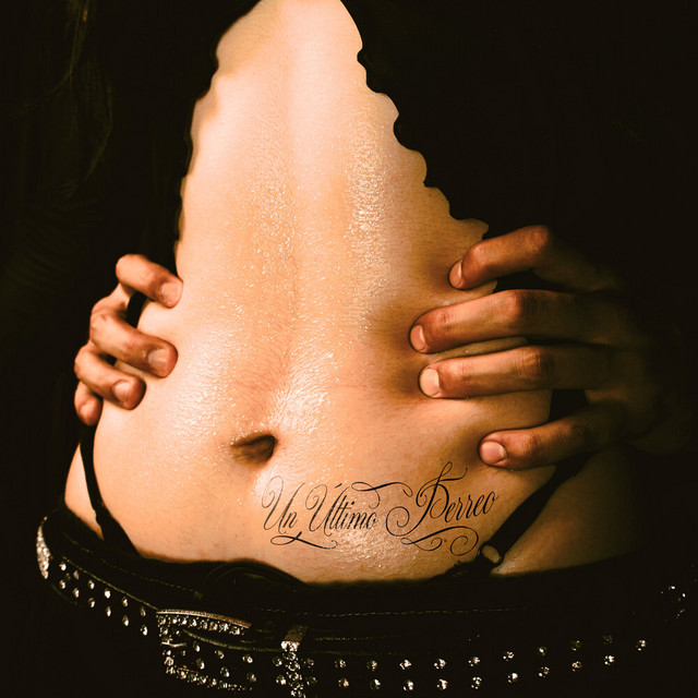 ¿Un Último Perreo? cover art