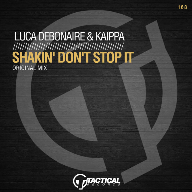 Shakin' Don't Stop It album art