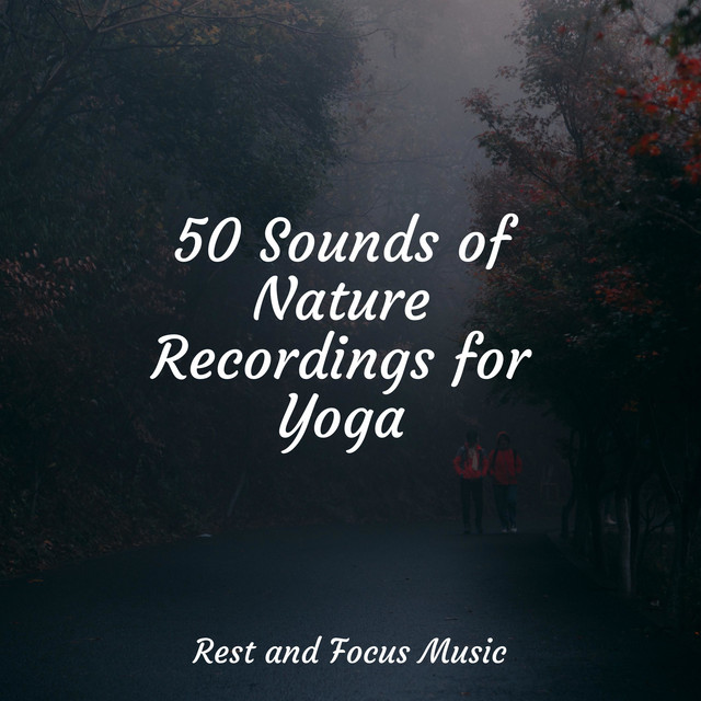 50 Sounds of Nature Recordings for Yoga - Album by PowerThoughts ...