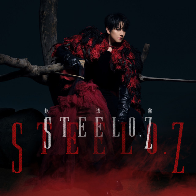 赵泳鑫 cover art