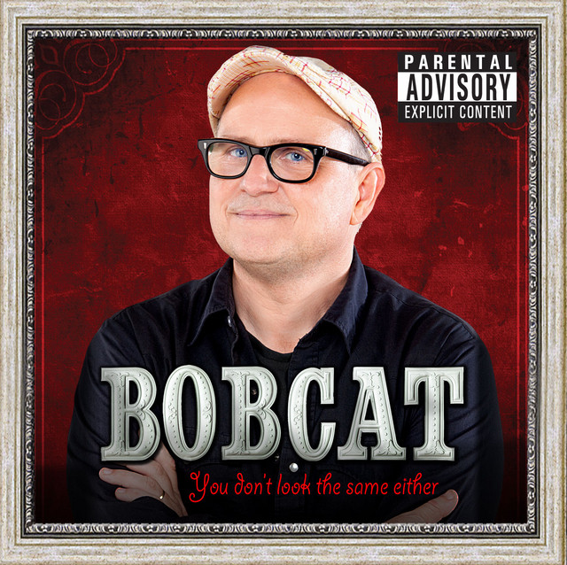 You Don't Look The Same Either cover art