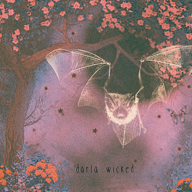 Darla Wicked