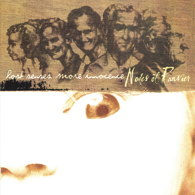 Lost Senses, More Innocence cover art