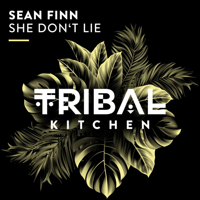 She Don't Lie - Extended Mix album art