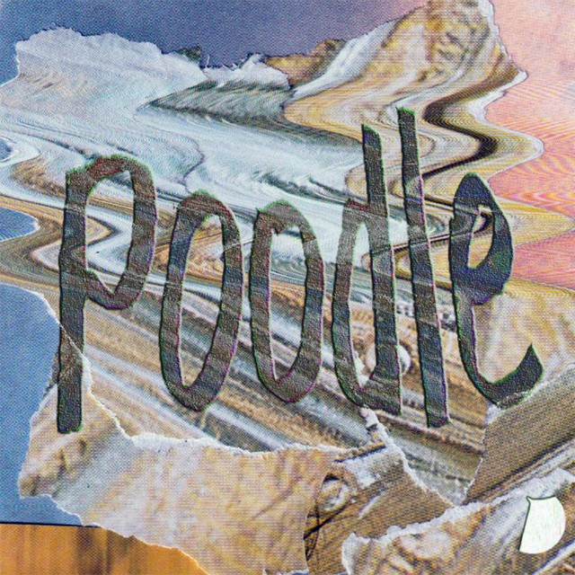 Poodle cover art