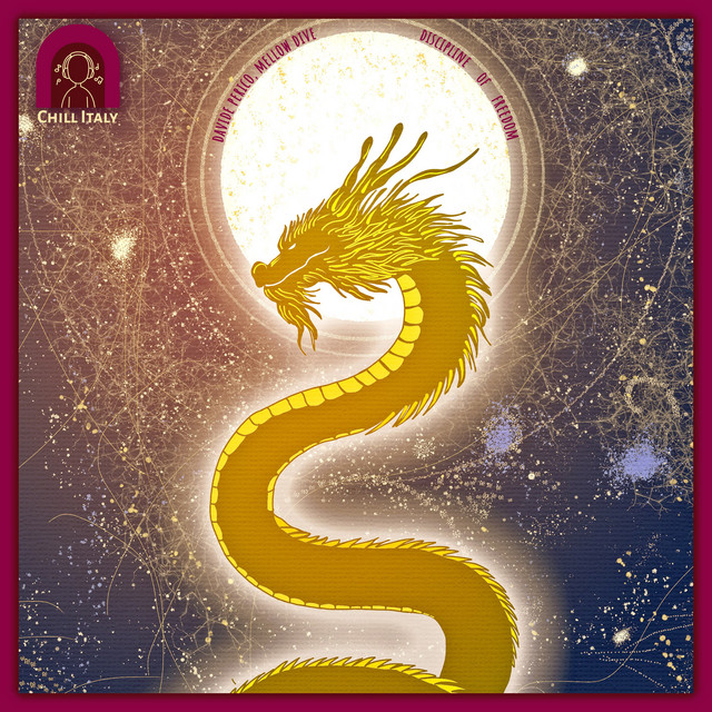 discipline of freedom cover art
