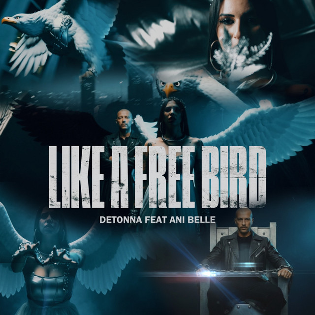Like a Free Bird - Remix