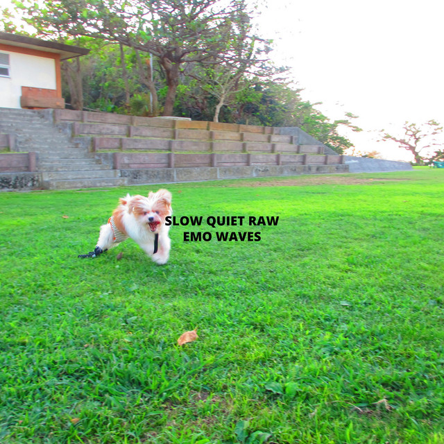 SLOW QUIET RAW EMO WAVES cover art