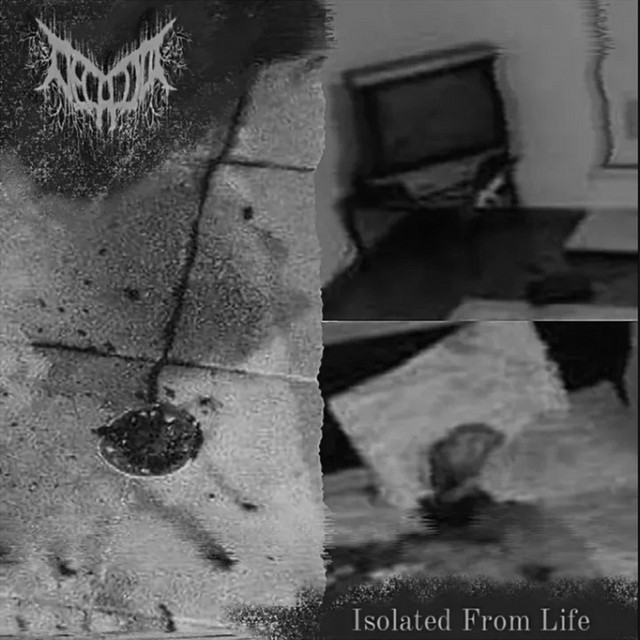 Isolated From Life (2021) cover art
