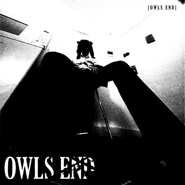 OWLS END cover art