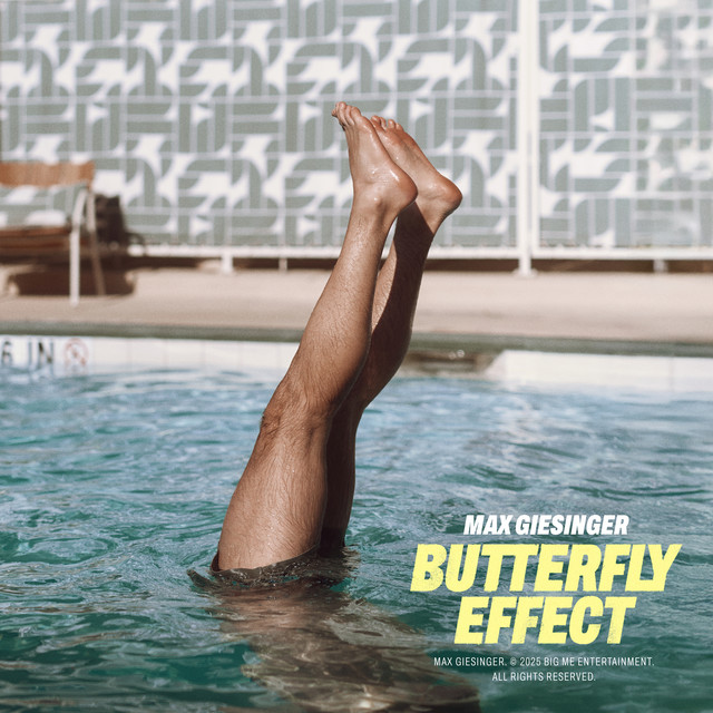 Butterfly Effect album image