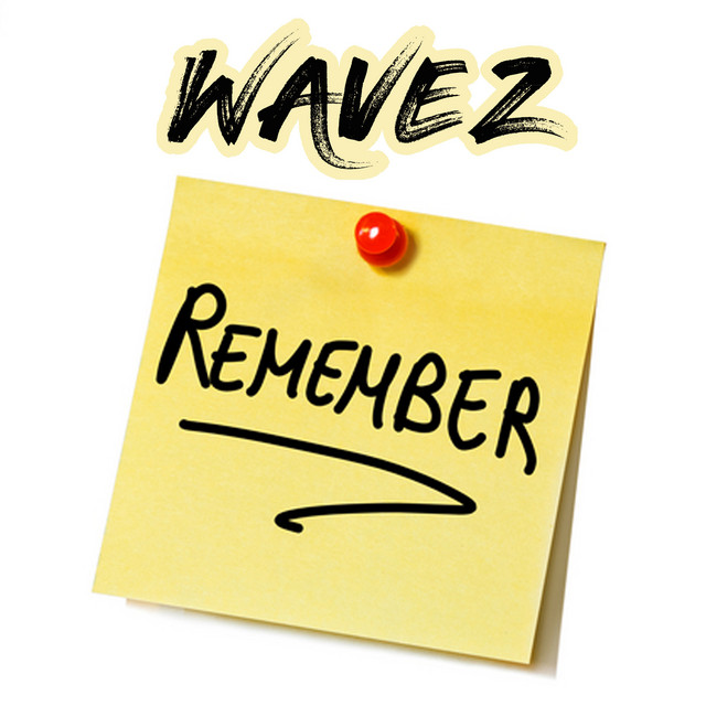 Remember cover art