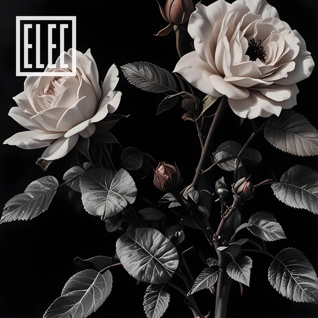 The Pull cover art