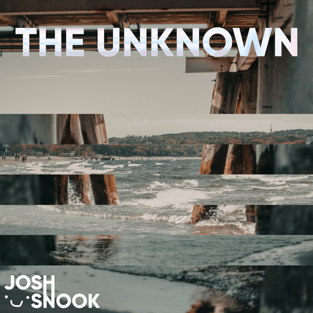 The Unknown cover art