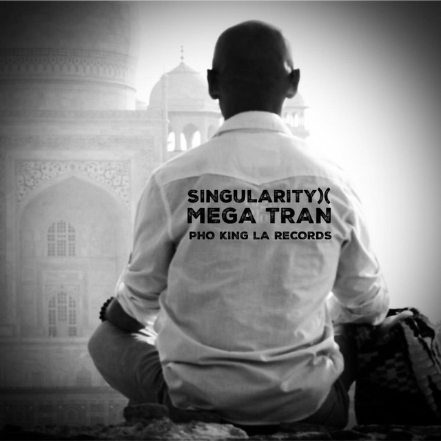 Singularity)( - Single by MEGA TRAN | Spotify